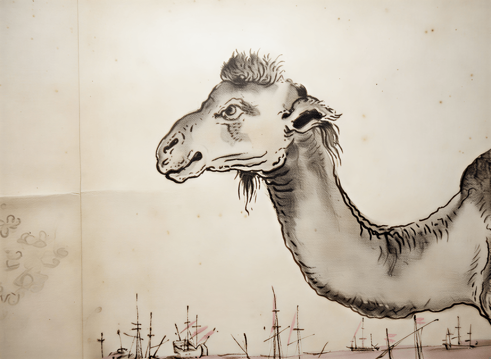 Camelus: L'Art de l'Insolite