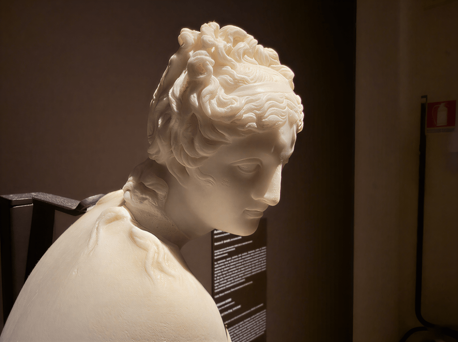 Élégance Renaissance Capturée